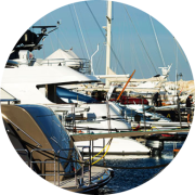 Apex_Digest_Partners-Photo3