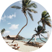 Apex_Digest_Partners-Photo4