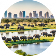 apexdigest-nauru-sao-tome-botswana-new-cips-2025-3 apexdigest-nauru-sao-tome-botswana-new-cips-2025-3